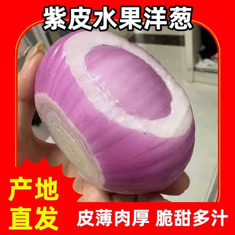 【商超高品质】水果洋葱脆甜紫皮洋葱圆葱头农家自种时令新鲜蔬菜
