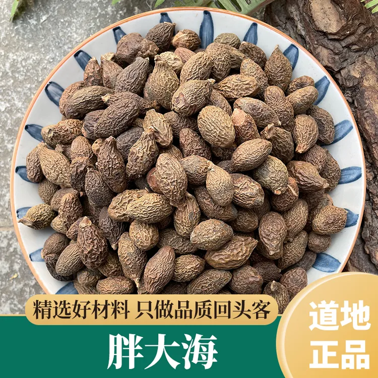 胖大海泡水润喉胖大海果泡大海散装泡茶凉茶正品泡水