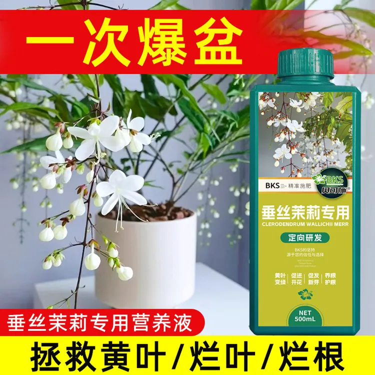 垂丝茉莉专用营养液黄叶枯叶烂叶绿叶壮根园艺通用肥料