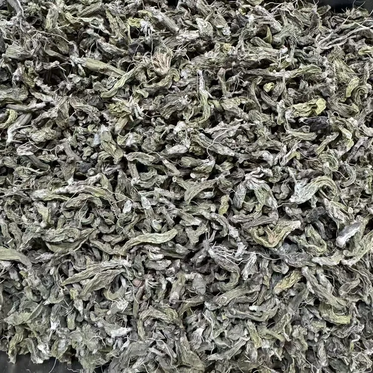 地蛛斛 嘢嘢货 原色货