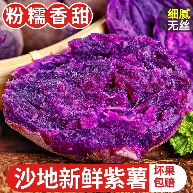 正宗紫薯新鲜板栗紫心番薯地瓜蜜薯糖心紫薯山芋农家自种沙地番薯