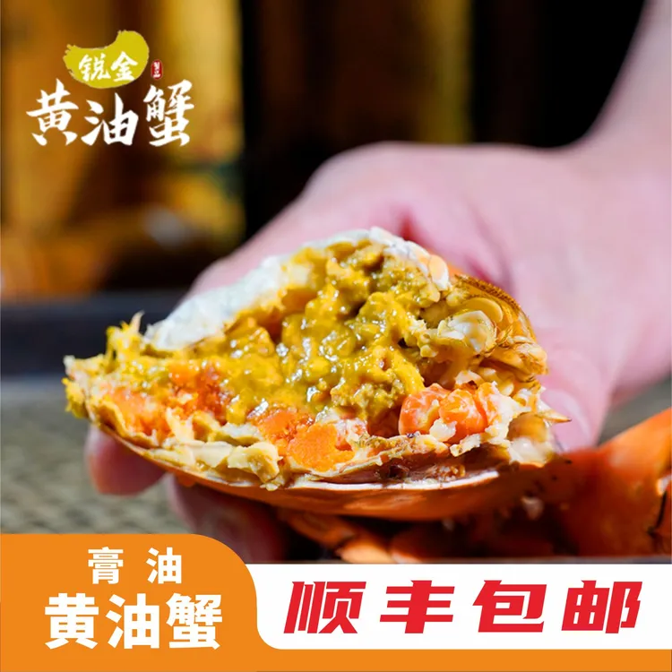 【邱锐金膏油黄油蟹】正宗黄油蟹5-5.5两/只 源头蟹塘黄油含量保50%