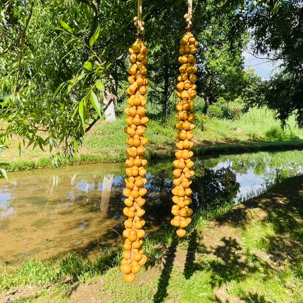 纯天然真葫芦带籽八宝吉祥挂件客厅飘窗餐厅背景墙福禄到家装饰