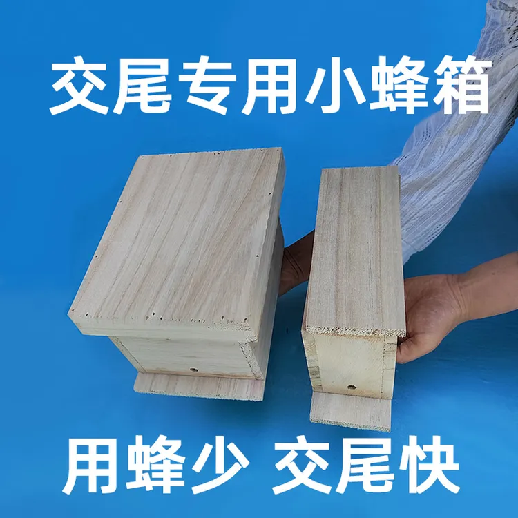 中蜂意蜂蜂王通用交尾箱处王婚飞箱育王专用小蜂箱用蜂少蜜蜂