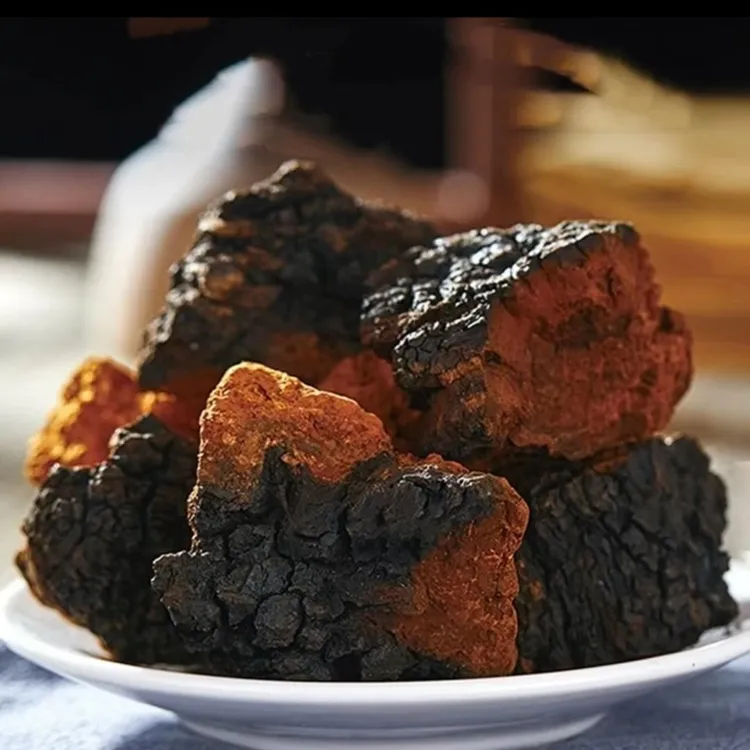 中俄边境口岸直发桦树茸白桦茸高密度桦褐孔菌.