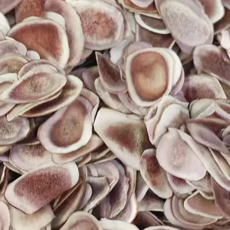 鹿茸片正宗批发鹿茸付角片红心泡酒药泡酒料材鹿茸片泡酒专用