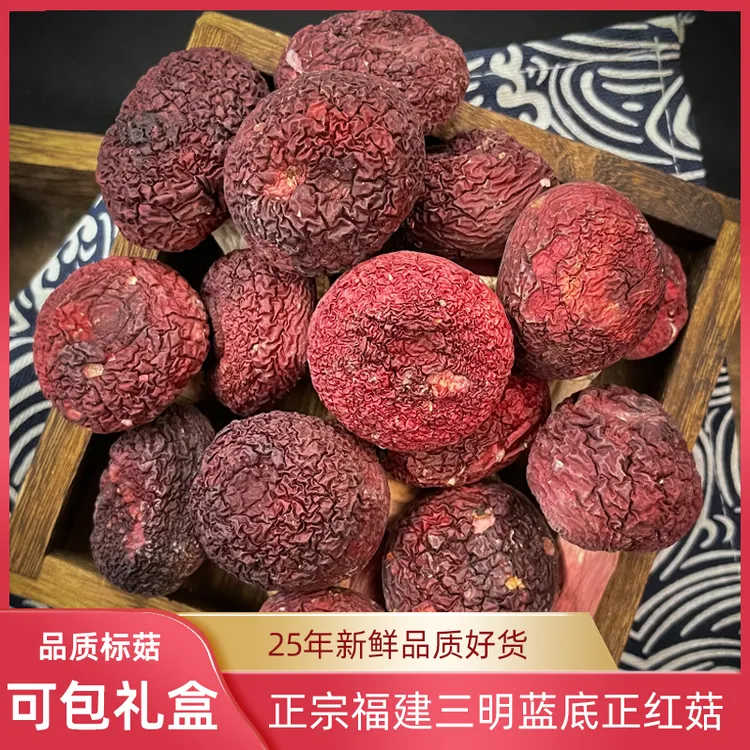 红菇中大标正宗福建红菇蓝底灰肉正红礼盒装三明正红菇精选红菇