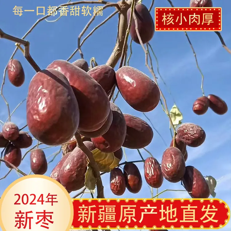 新疆和田大枣原生态吊干枣不清洗产地直发包邮（二三级混装）
