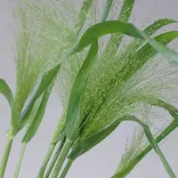 【买一送一】喷泉草一把10支雾状花材被称为“草中爱马仕”  云南鲜花