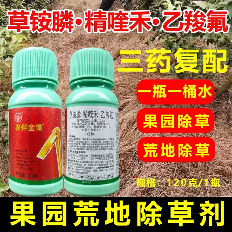 草铵膦精喹禾乙羧氟草醚除草剂烂根型小飞蓬牛筋草抗性荒地杂草