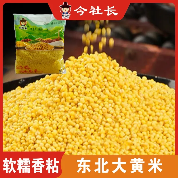 今社长东北特色农家自产大黄米煮粥五谷杂粮5斤