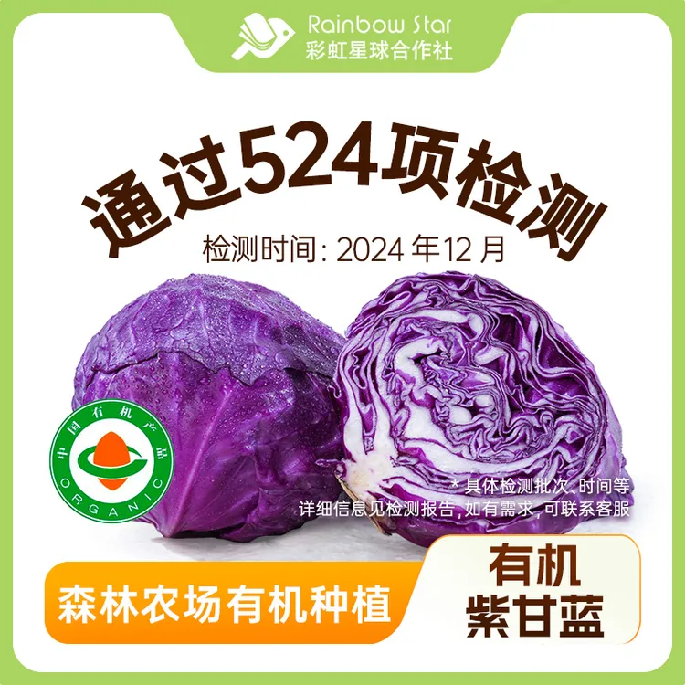彩虹星球有机｜有机紫甘蓝1.5kg云南采摘脆嫩卷心圆包菜拌沙拉蔬菜
