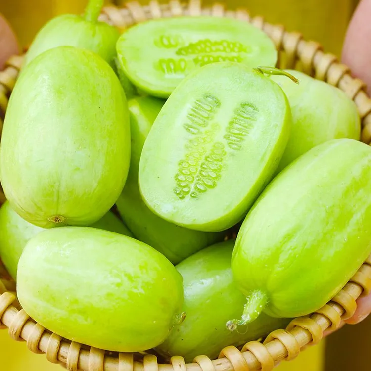 寿光黄瓜玉女黄瓜寿光玉女拇指黄瓜白玉拇指青瓜新鲜孕妇小黄瓜