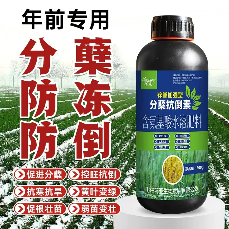 环东正品小麦年前分蘖抗倒抗冻防倒春寒叶面肥专用黄叶促根壮苗