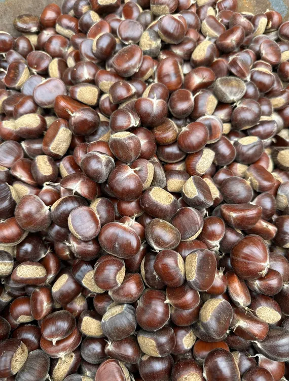 邢台825精选新鲜高山板栗油栗软糯香甜脆【源产地直销】