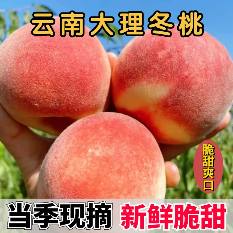 云南大理新鲜脆甜冬桃高山毛桃当季水果现摘桃子软硬两吃水果整箱