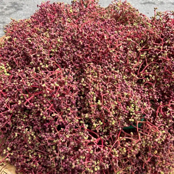 高树花椒/鱼花椒/刺秋/当/野花椒贵州特产3把起