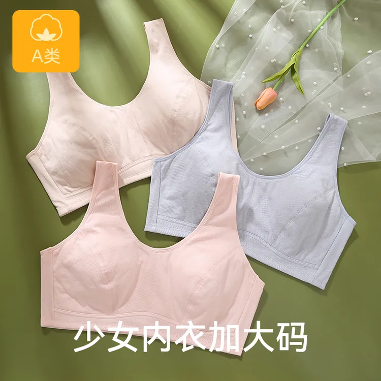 少女内衣女士文胸背心式中大童女无钢圈大码胸罩棉舒适文胸加肥大