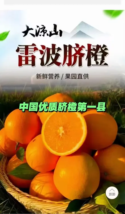 退役军人返乡创业种植雷波脐橙，助力农产品需要您的加入