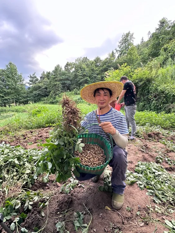 【蛟哥土特产】楠溪江农家花生