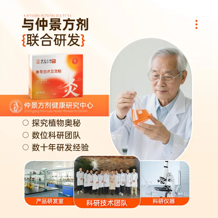 仲景方剂参苓白术艾灸贴人参茯苓白术泽泻三七红花艾叶生姜黑灵芝