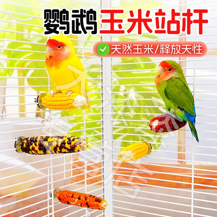 【宠大条】鹦鹉站杆小玉米磨牙站棒虎皮牡丹玄凤啃咬解闷鸟玩具用品