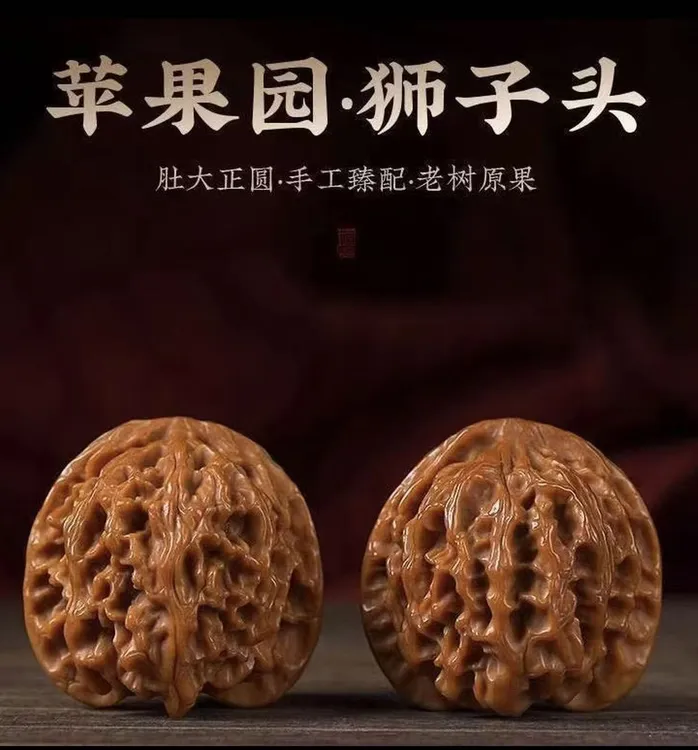 （新果头货）山地老树原桩梅枝纹金钱底（苹果园）