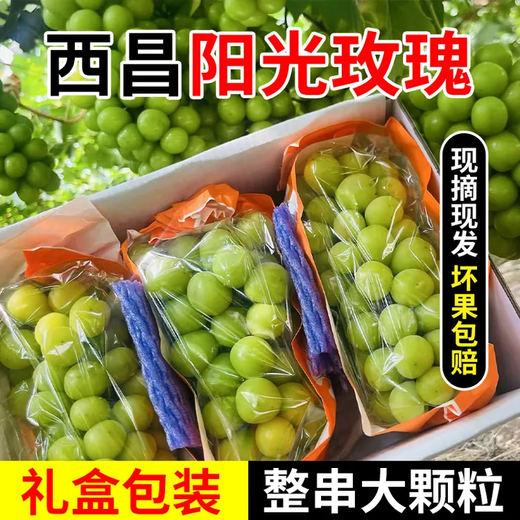 【京东快递】西昌阳光玫瑰葡萄青提中秋送礼装新鲜水果当季整箱包邮