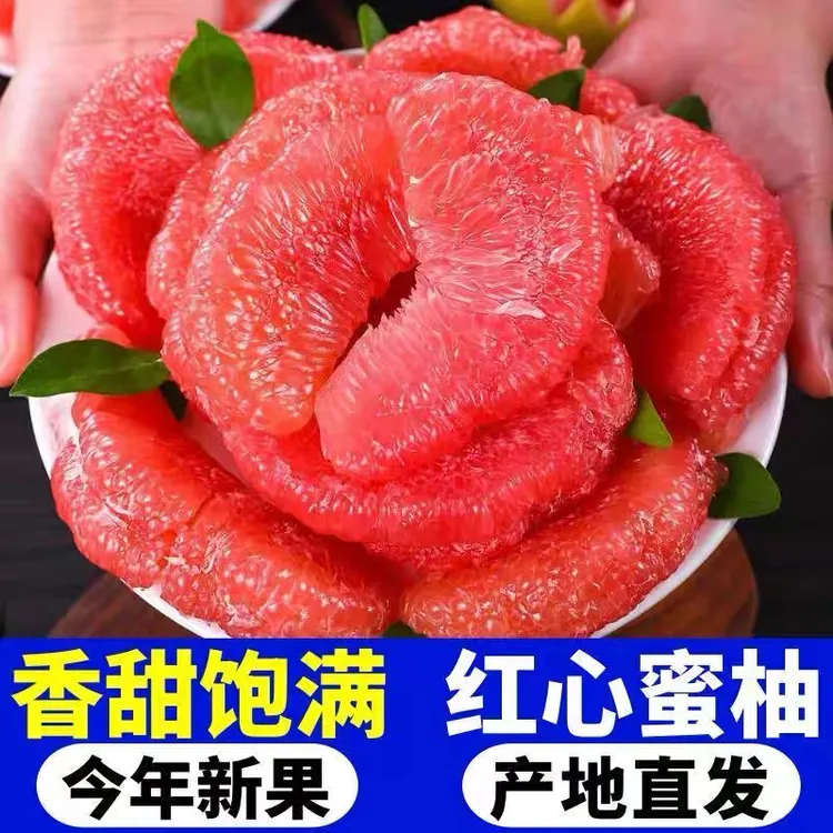 【老树果】福建红心蜜柚新鲜当季水果红肉超甜 多仓发货