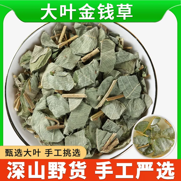 500g正宗金钱草中草药泡水喝金钱草茶大叶金钱草广西新鲜干货
