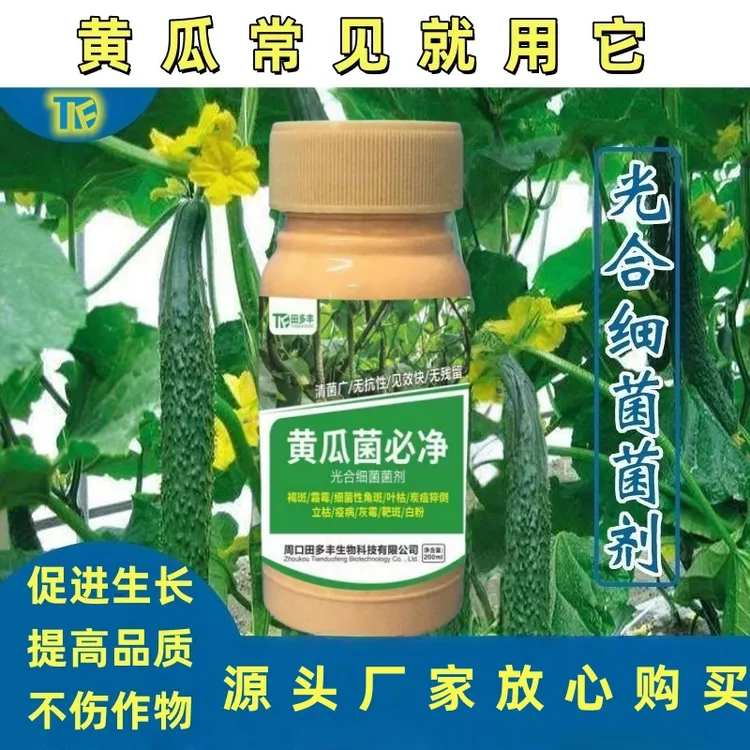 黄瓜菌必净叶面肥黄瓜霜霉褐斑叶枯黑斑缩叶轮纹炭疽灰霉叶焦通用