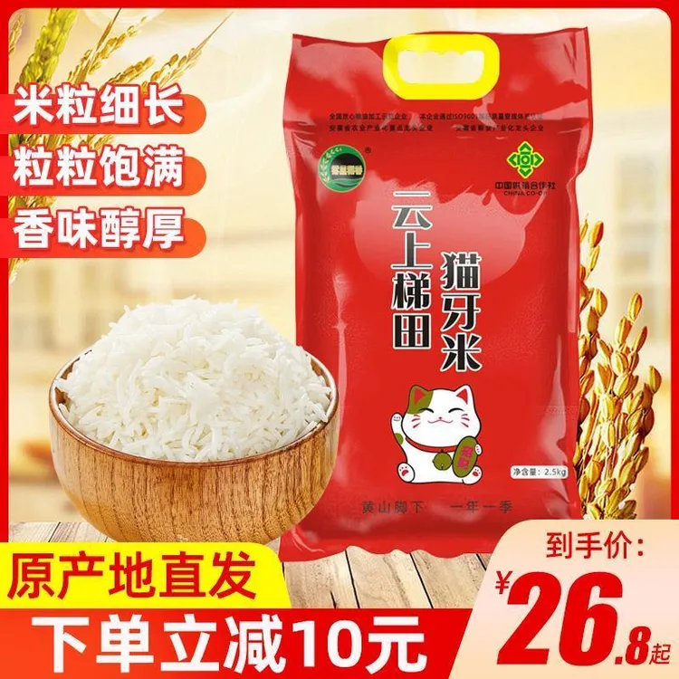 雾里稻香云上梯田猫牙米装长粒香大米营养软糯细长大米真空装