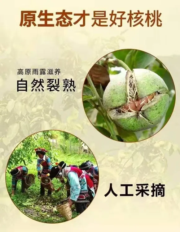 2025云南大理漾濞薄皮大泡干核桃送夹子坚果零食薄皮