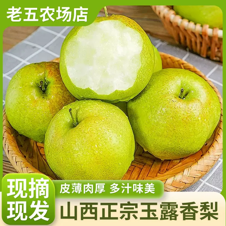 商超品质山西正宗玉露香梨果园现摘新鲜直达皮薄多汁甘甜爽口酥脆