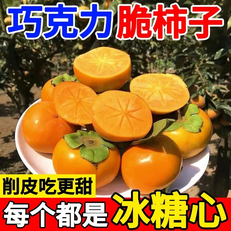 山西阳丰脆甜柿子新鲜现摘应季水果柿子巧克力脆柿子
