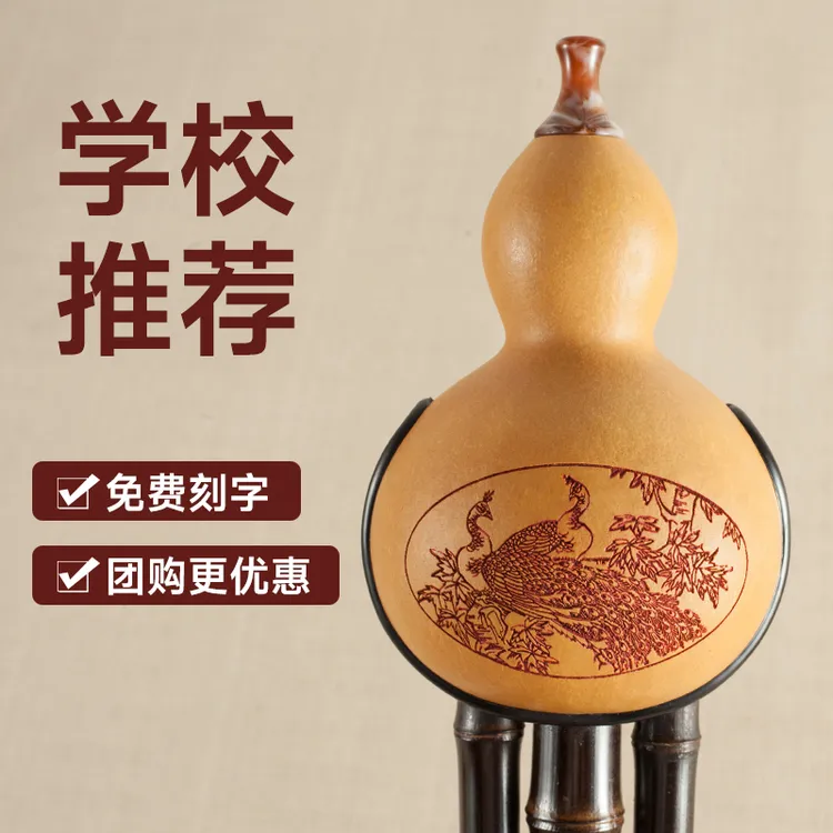 葫芦丝c调紫竹七孔双音葫芦丝专卖学生成人降b初学入门葫芦丝乐器