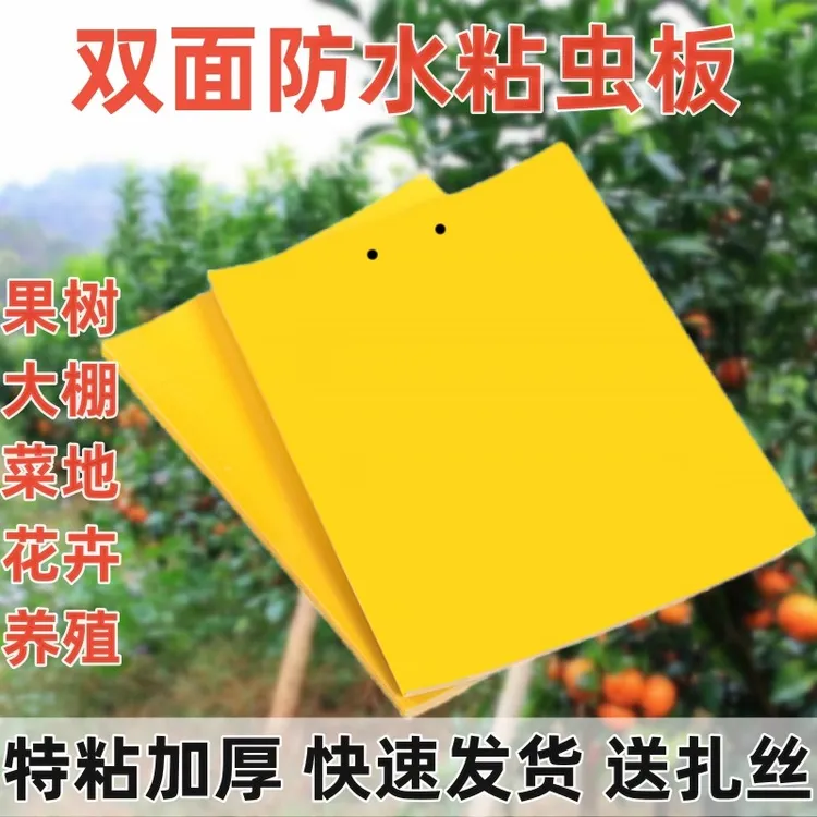 双面粘性诱虫黄板贴纸捕虫器灭果蝇灭大棚果园小飞虫蚊子苍蝇诱捕