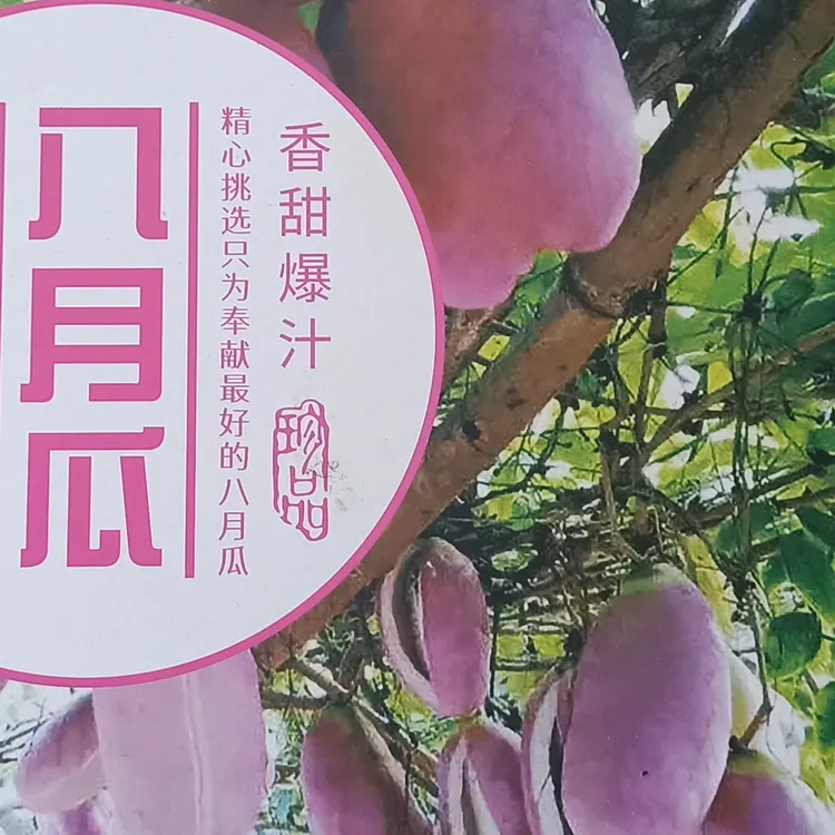 硒都恩施建始红岩老品种八月瓜现摘现发软糯香甜