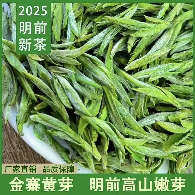 【黄芽A21】金寨黄芽明前毛峰茶叶商务送礼茶叶明前绿茶新茶