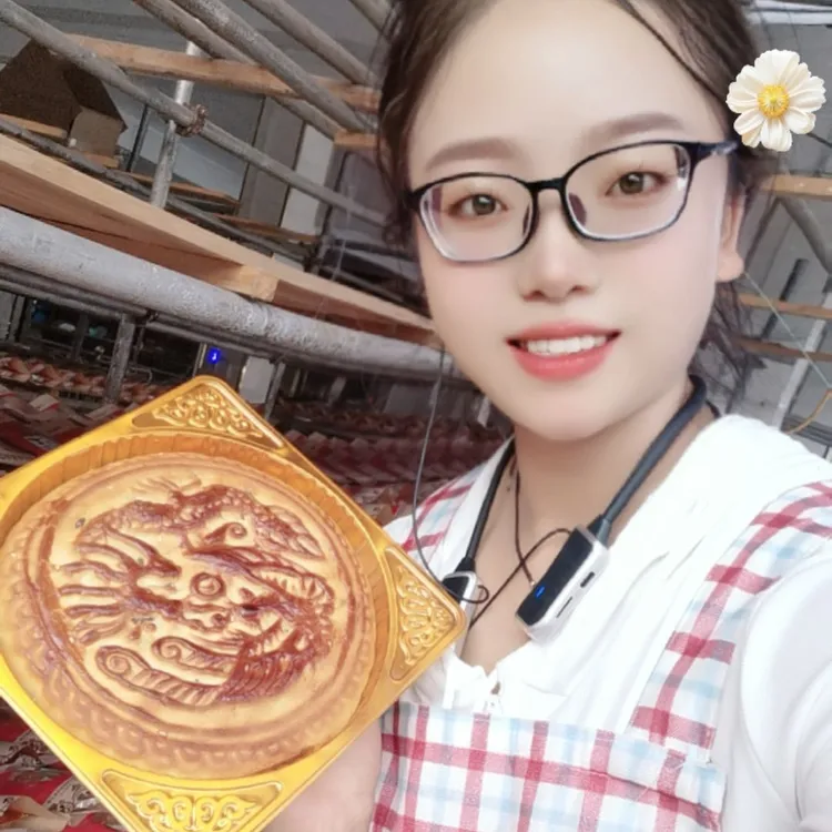 3个艾田月饼（1个500克）