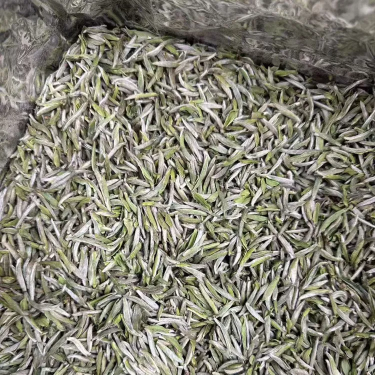 2025政和高山头采白毫银针，花果香、毫香、鲜爽、清甜、顺滑度好