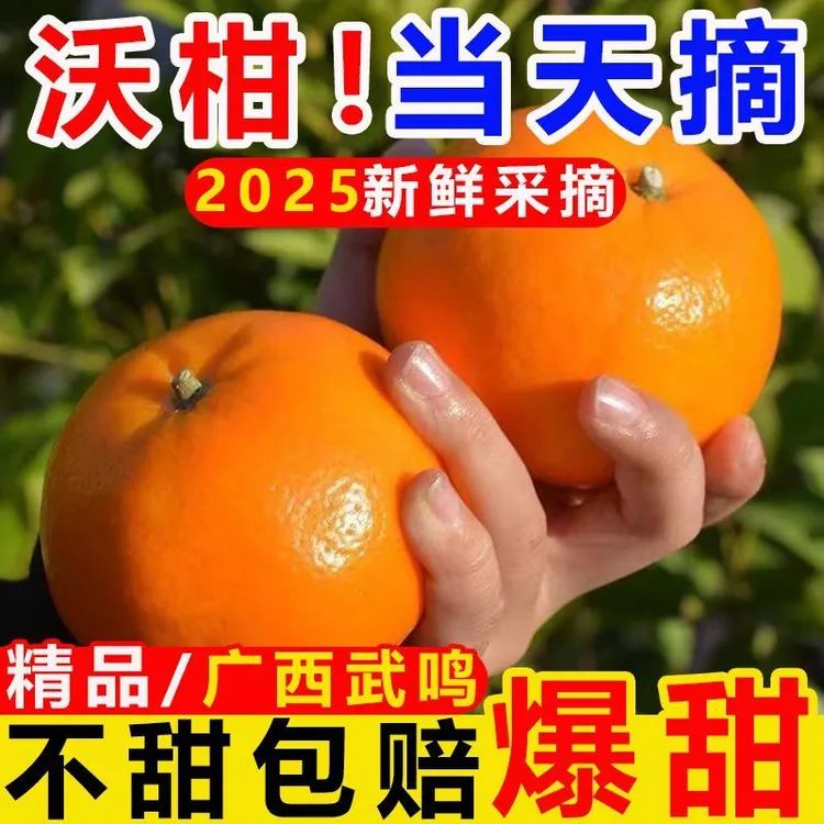 【现摘现发】B正宗广西武鸣现摘新鲜沃柑橘子多汁香甜当季水果