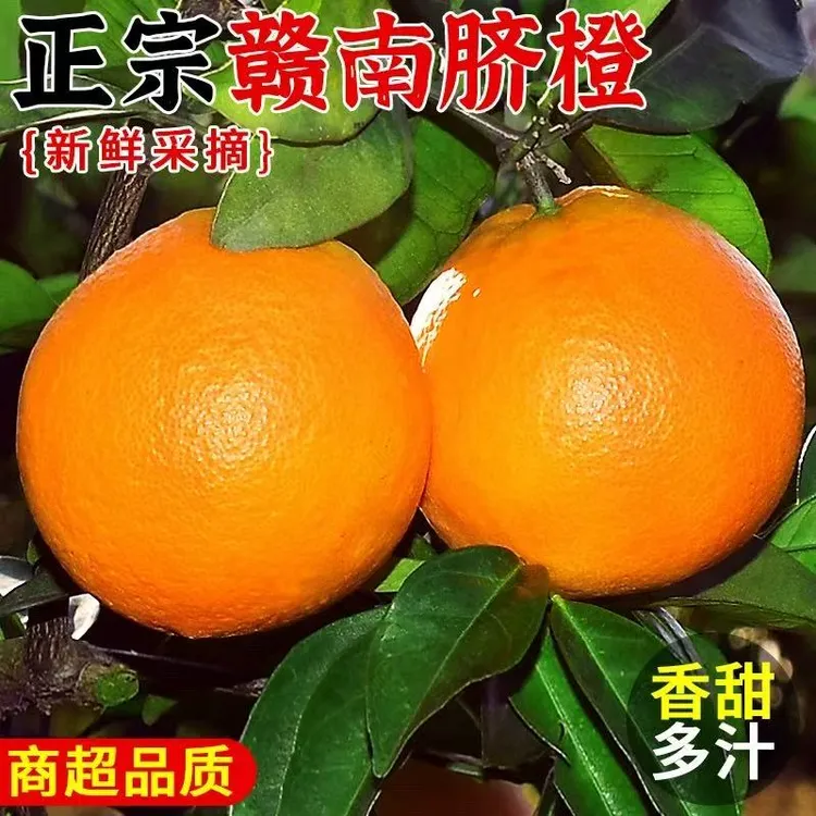 赣南脐橙橙子新鲜10斤江西赣州产地直发水果整箱当季手剥甜橙