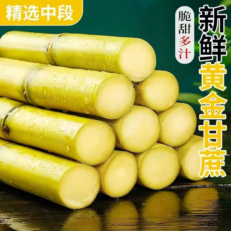 湖北黄金甘蔗精选中段新鲜水果清甜多汁水去头去尾