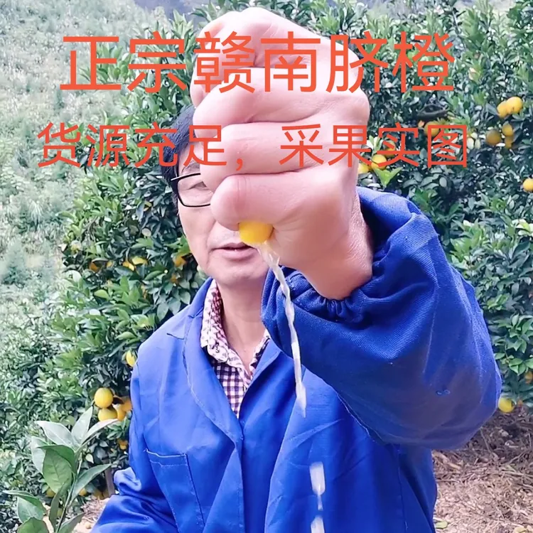 江西赣南脐橙，鲜果带叶让你看到新鲜，大箱20斤（65—70）mm顺丰包邮