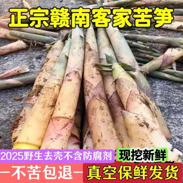 2025江西赣南客家野生苦笋春笋清水笋当季竹笋不带壳真空包装