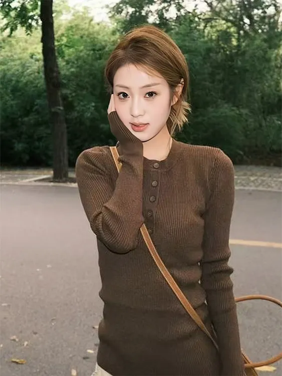 DXSE美拉德咖色针织衫女秋季亨利领毛衣极简老钱风高级感修身上衣