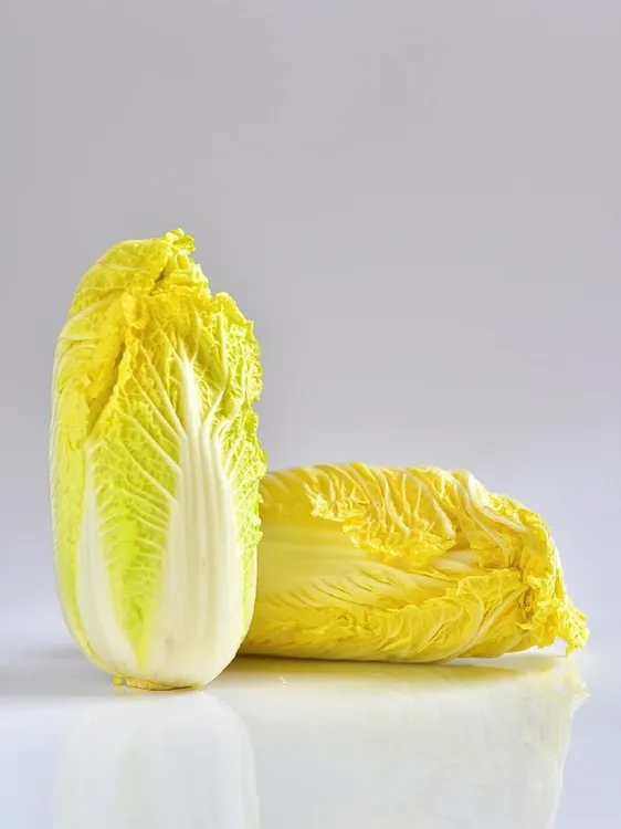 大娃娃菜保温发货露天霜打正宗黄心地头现砍直发无筋无丝软糯香甜