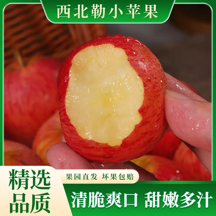 【顺丰】云南西北勒小苹果新鲜脆甜小苹果丑苹果现摘脆甜多汁3斤起