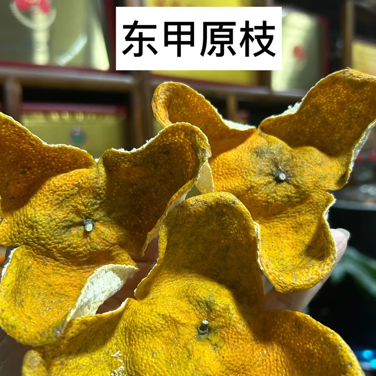 （东甲原枝 大红）2025年新会东甲